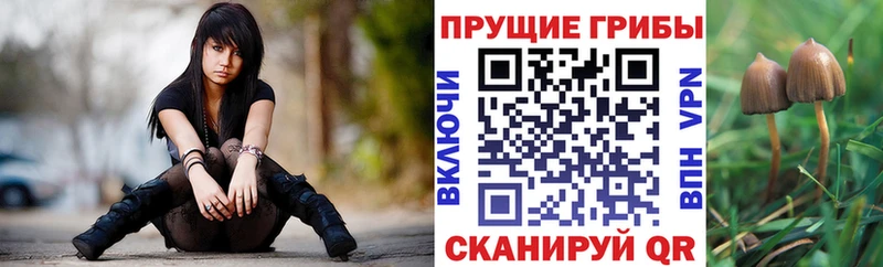 купить   Уфа  мега ТОР  Галлюциногенные грибы ЛСД 